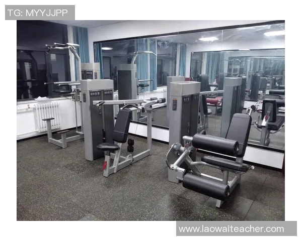 创新健身器材设计探索提升运动体验与健康效果的完美结合