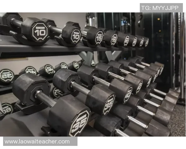 家中缺乏哑铃时可用哪些日常物品进行有效的力量训练