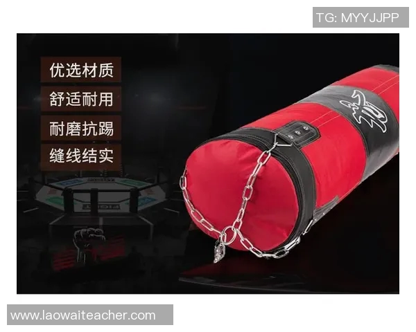 提升家庭健身效果的必备选择家用体育用品健身器材沙包推荐